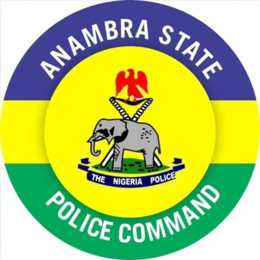 Ihiala Murder of 80 Year-Old woman: Police Nab 2 Suspects