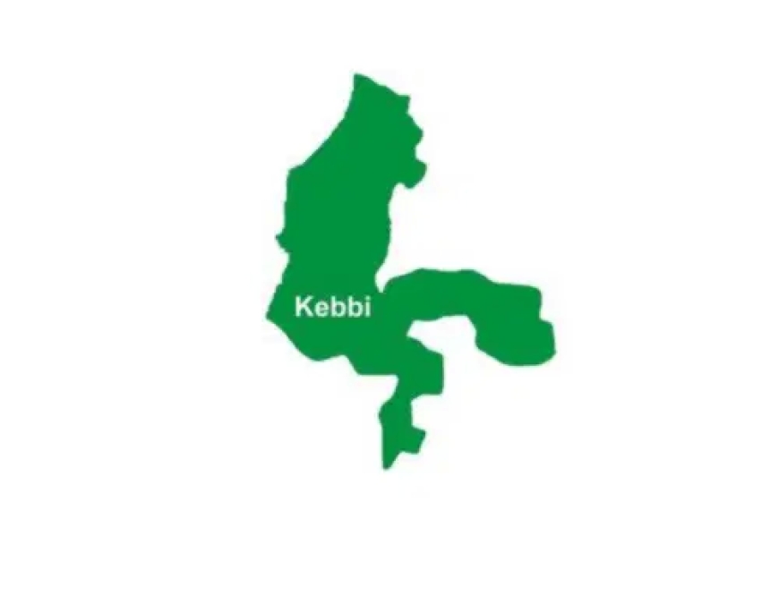 Suspected meningitis outbreak kills 26 in Kebbi – Govt