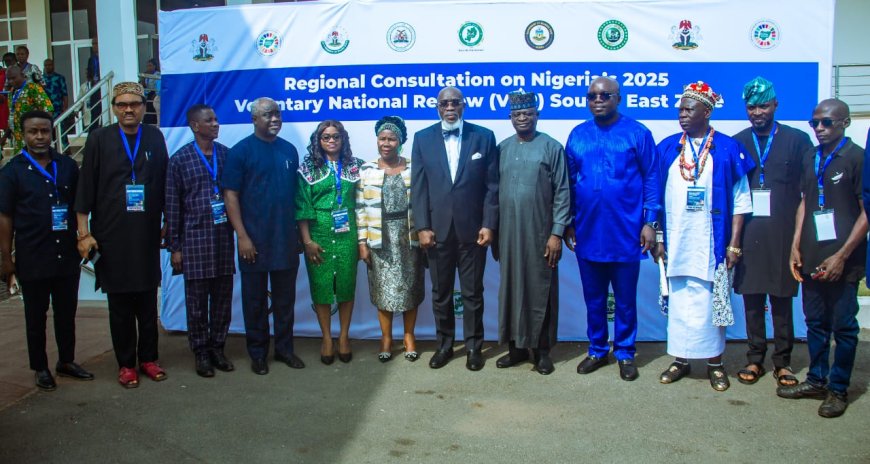 Stakeholders Review SDGs Progress as Nigeria Hosts South-East Regional Consultation on 2025 VNR in Enugu