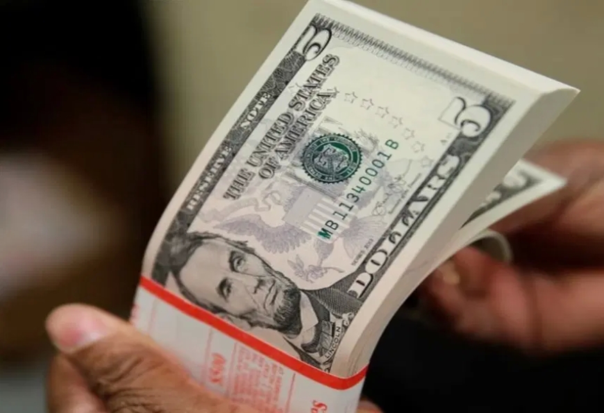 Customs intercepts undeclared $1.1m at Kano airport