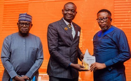 Egbin Power Bags Sustainable Development Company Award, Reaffirms Drive for Excellence