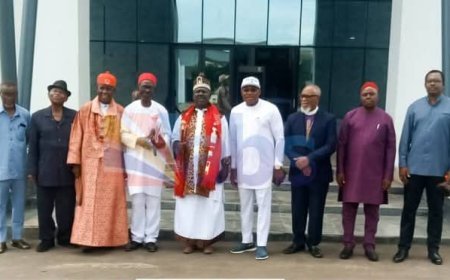 Igbo Leaders of Thought Endorse Soludo