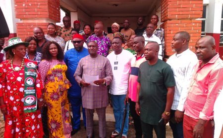 Come Back to Our Party-PDP Begs Obi