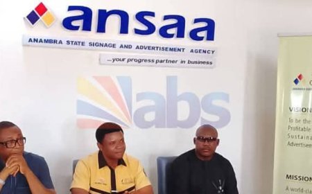 ANSAA Slams N50m Permit Fee on Anambra 2025 Anambra Governorship Election Campaign Billboard, Others