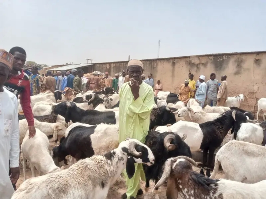 Sallah: Ram dealers complain of low patronage amid short supply