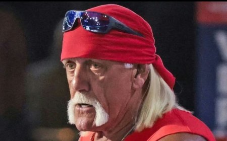Hulk Hogan Dies at 71