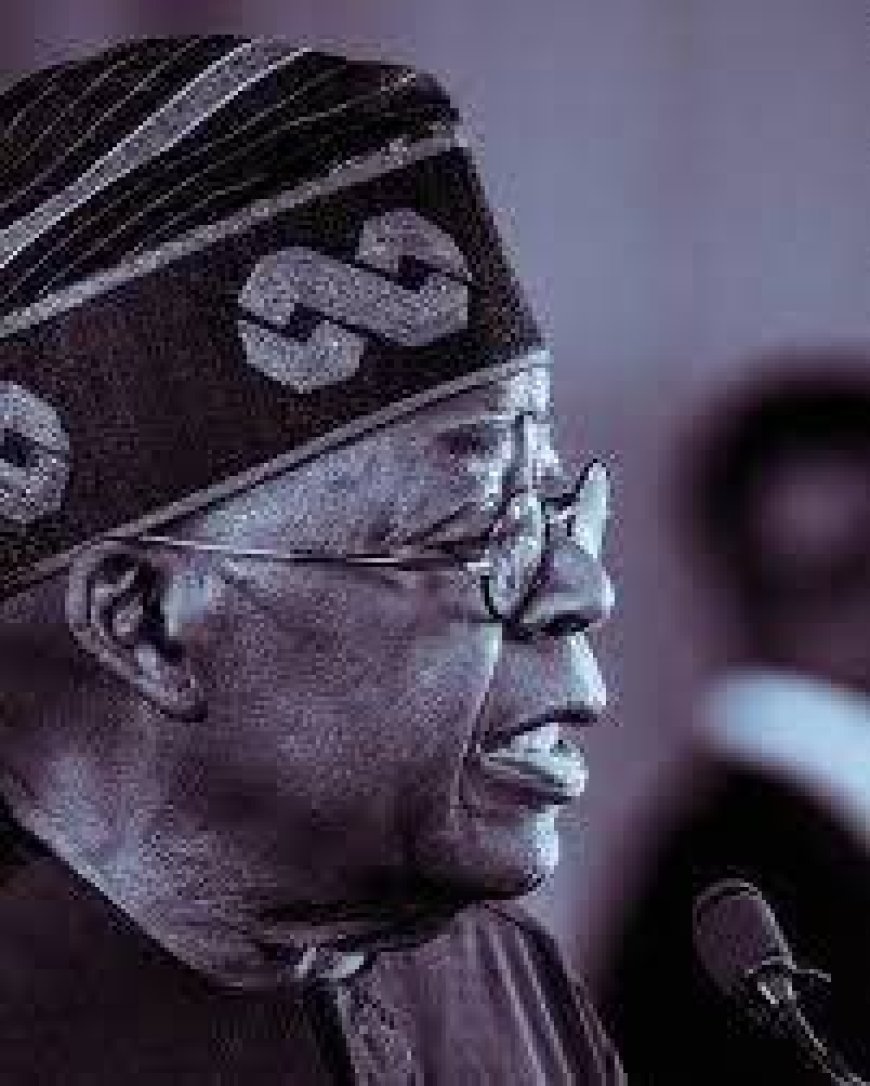 Don't Panic, Tinubu Can Do It-HAI counsels Nigerians