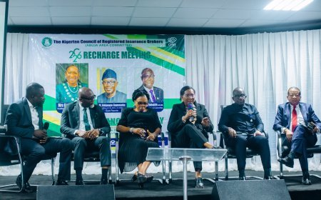$1trn Economy: Insurance Brokers Launch Nationwide Support Drive