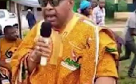 Sack Your Commissioners, Obi Tells Soludo