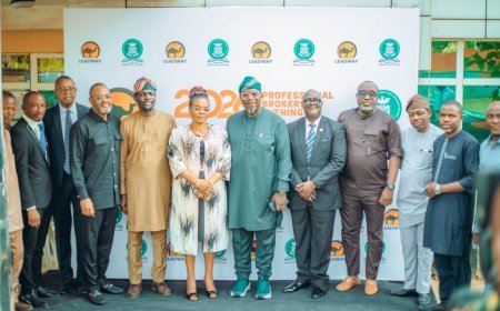 New Insurance Reform Law Is For All, Not Just Industry Professionals-Insurance Brokers Tell Nigerians