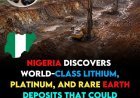 Deja vu Beneath the Soil: Will Nigeria's Rear Earth Rush Repeat the Oil Curse?