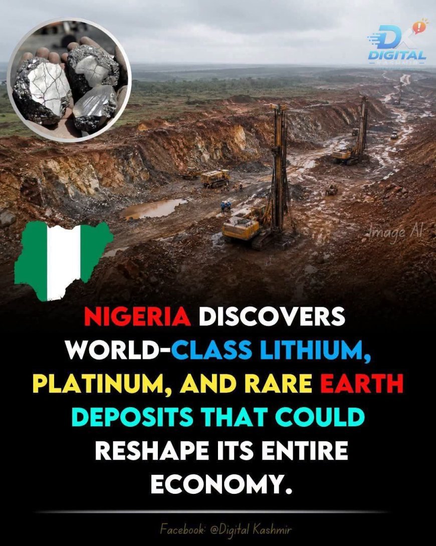 Deja vu Beneath the Soil: Will Nigeria's Rear Earth Rush Repeat the Oil Curse?